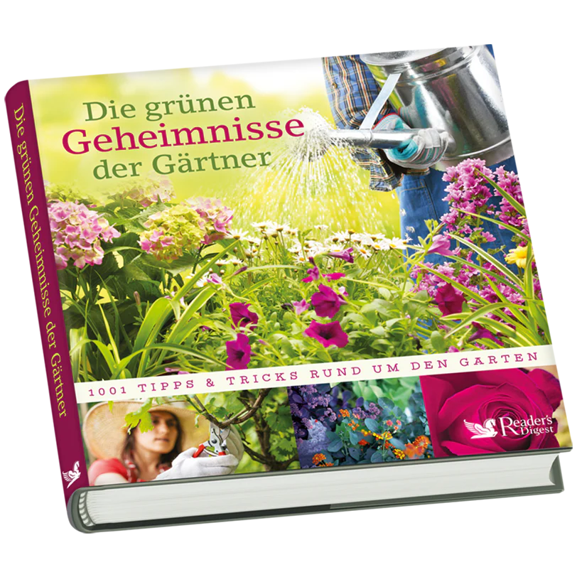 Vorschaubild 2
